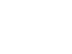 monroe white logo